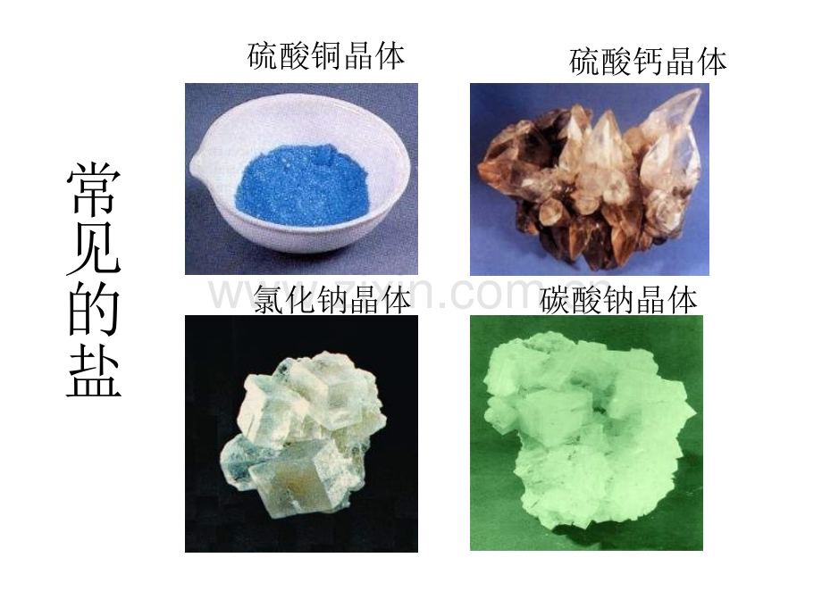九年级科学盐的性质.pptx_第1页