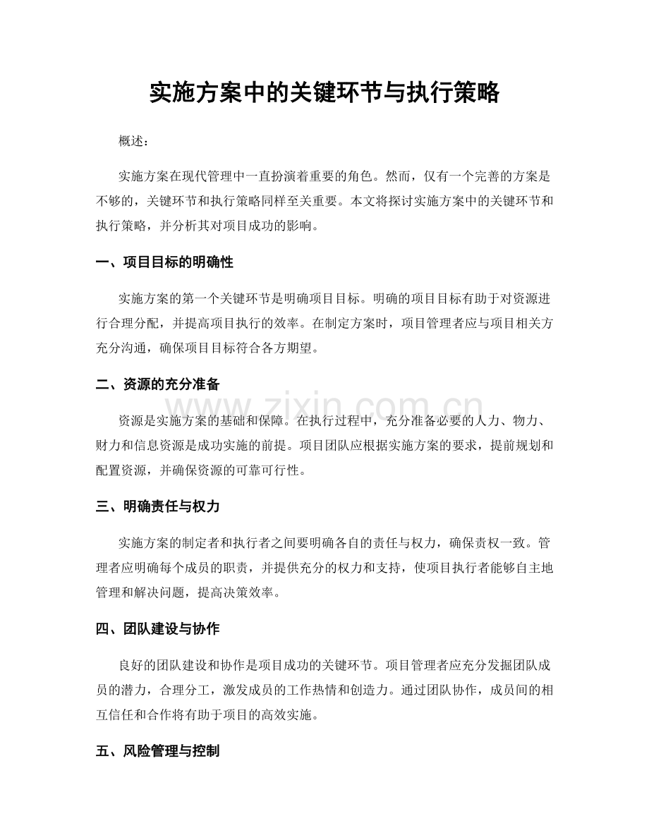 实施方案中的关键环节与执行策略.docx_第1页