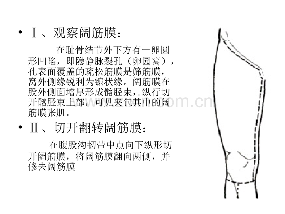 下肢前面深层.pptx_第2页