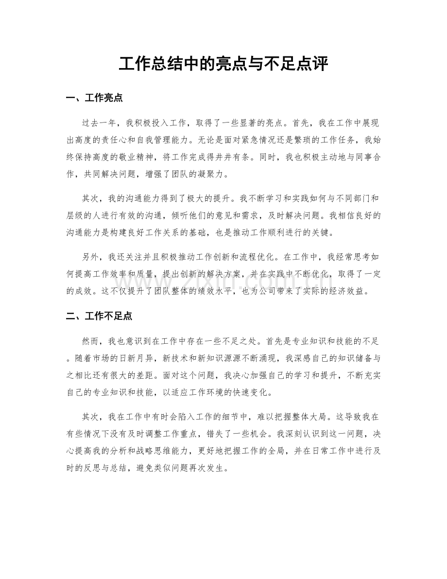 工作总结中的亮点与不足点评.docx_第1页