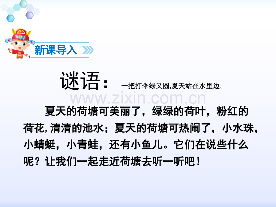 13荷叶圆圆试讲.pptx_第2页