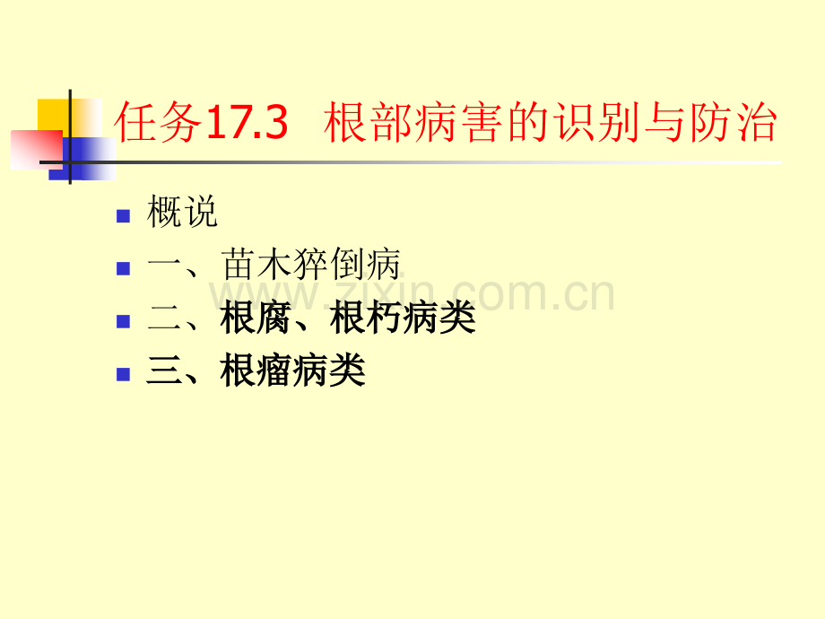 观赏植物病虫害识别与防治根部病害的识别与防治.pptx_第1页
