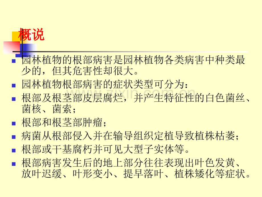 观赏植物病虫害识别与防治根部病害的识别与防治.pptx_第2页