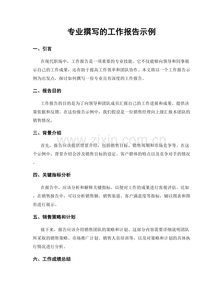 专业撰写的工作报告示例.docx_第1页