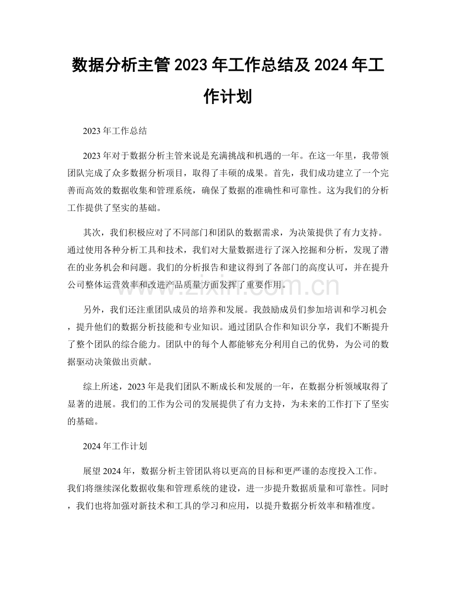 数据分析主管2023年工作总结及2024年工作计划.docx_第1页