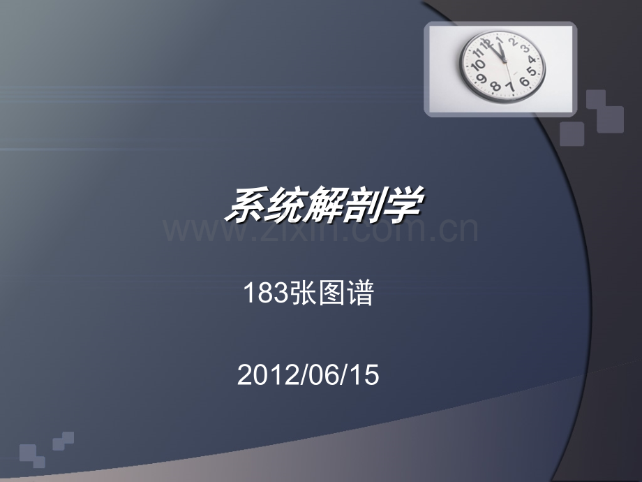《系统解剖学》图库183张.ppt_第1页