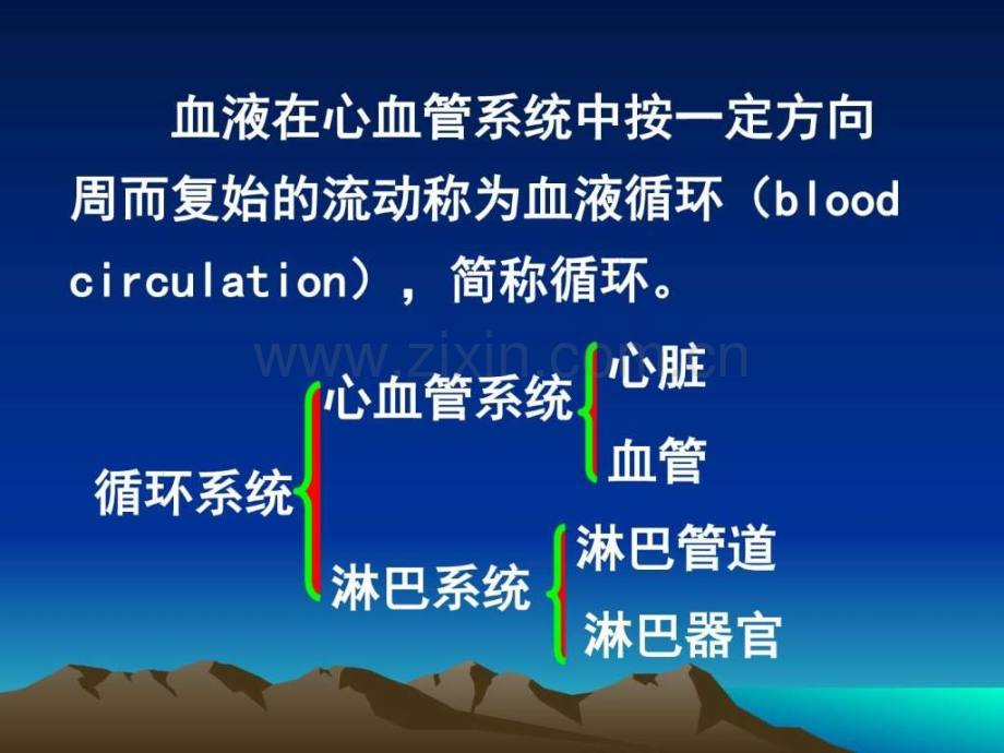 生理学心脏泵血过程.ppt_第2页