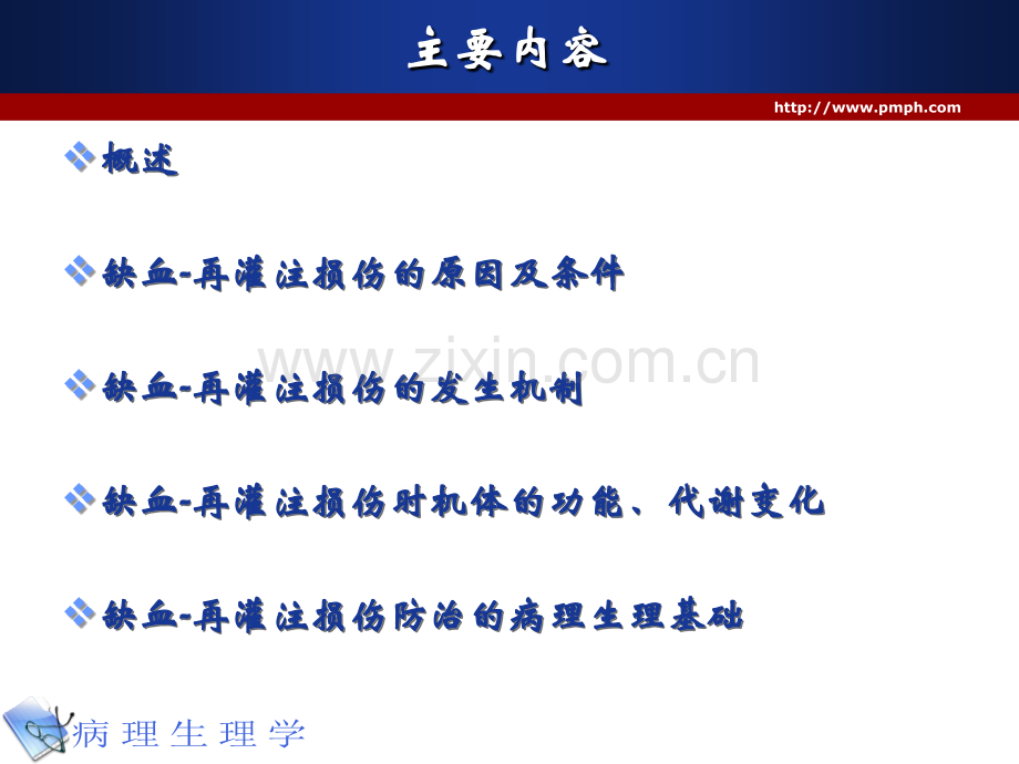 病理生理学IRI诱导自由基产生机制XO作用中性粒细胞呼吸爆发.ppt_第2页