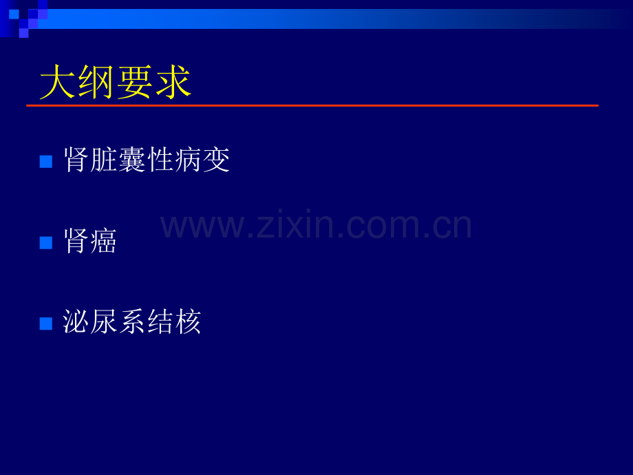 肾脏病变影像诊断.ppt_第2页