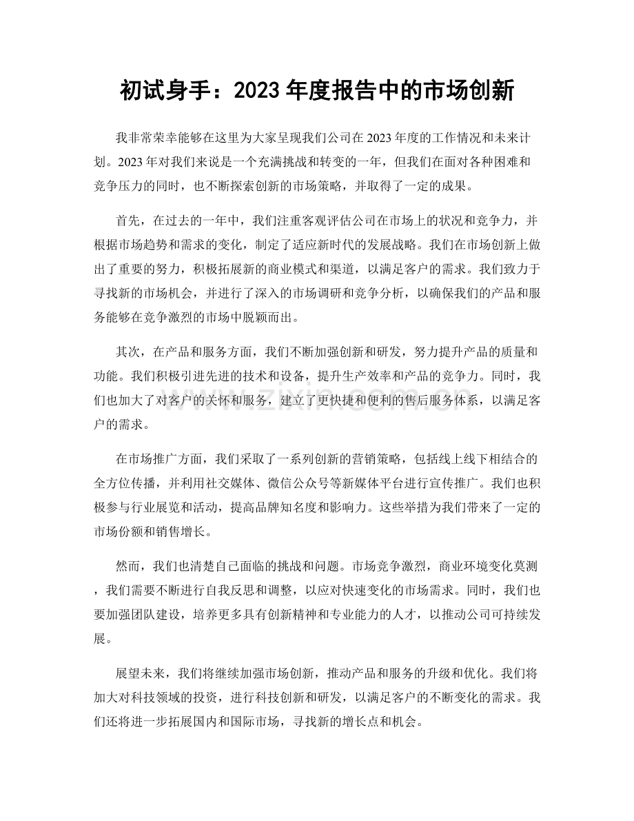 初试身手：2023年度报告中的市场创新.docx_第1页