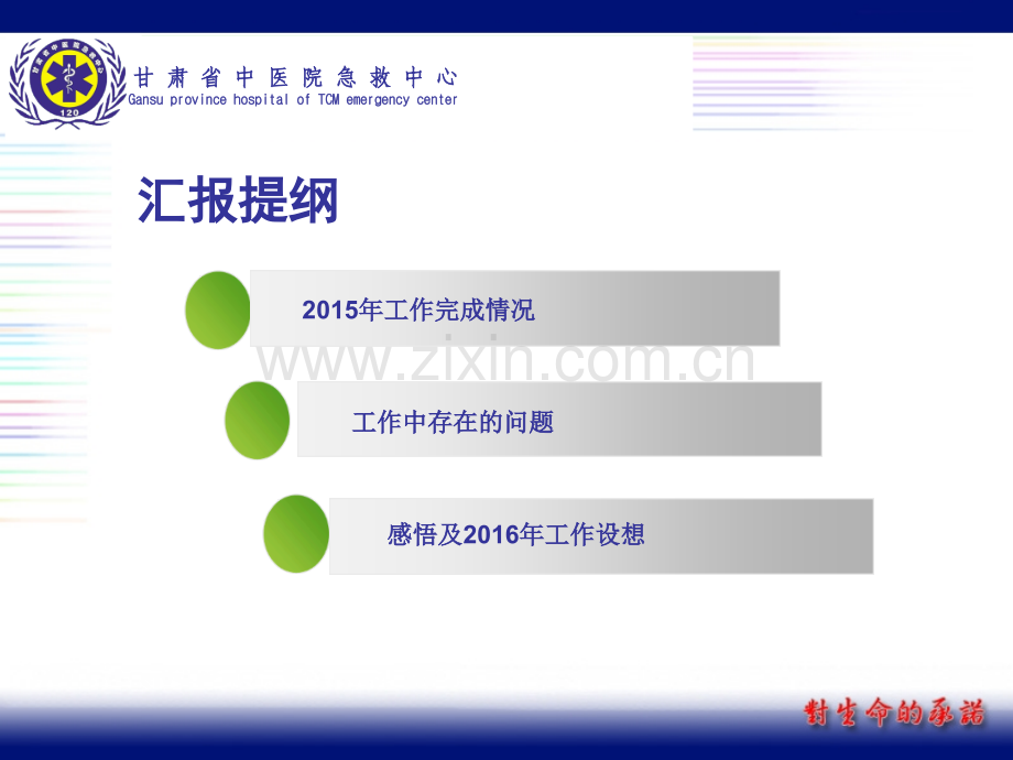 急诊科主任述职.ppt_第2页