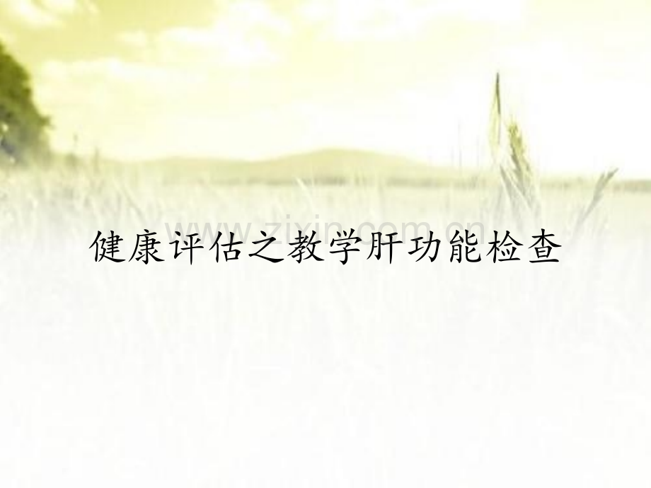 健康评估之教学肝功能检查.pptx_第1页