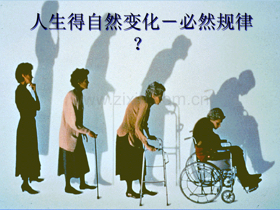骨质疏松科普知识PPT.pptx_第2页
