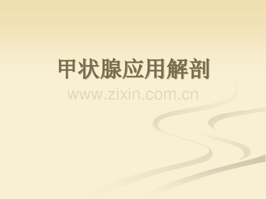 甲状腺应用解剖.ppt_第1页