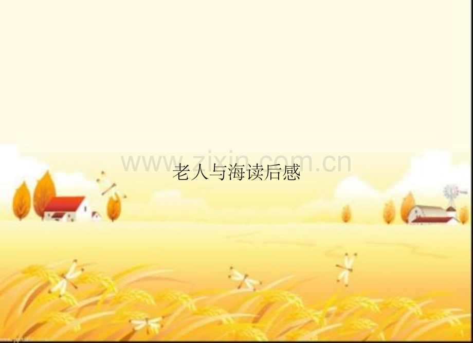 老人与海读后感.pptx_第1页