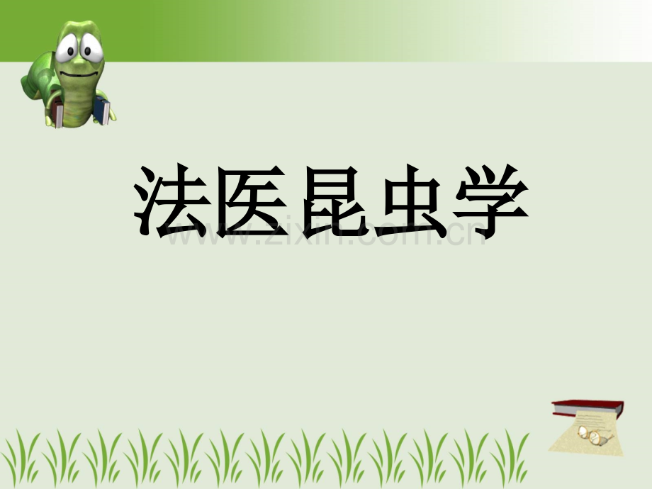 法医昆虫.ppt_第1页