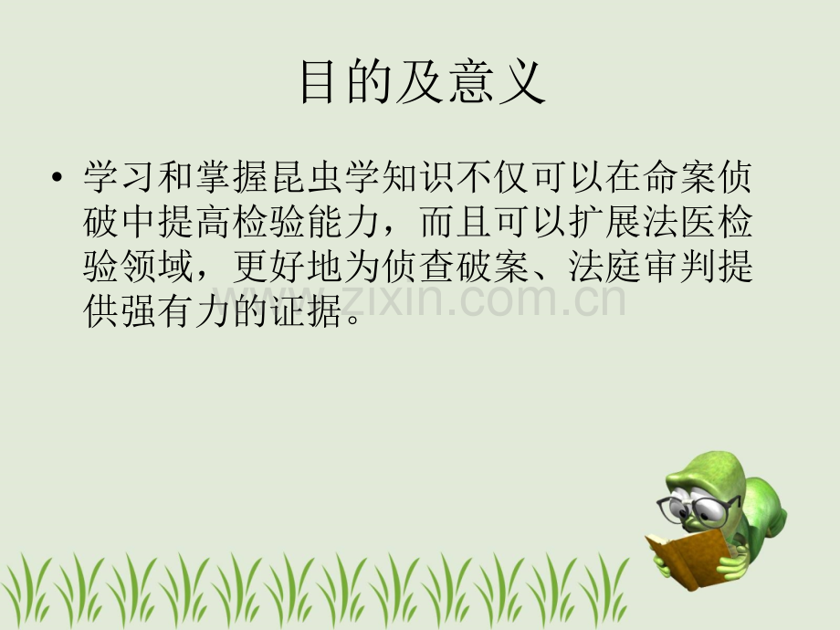 法医昆虫.ppt_第2页