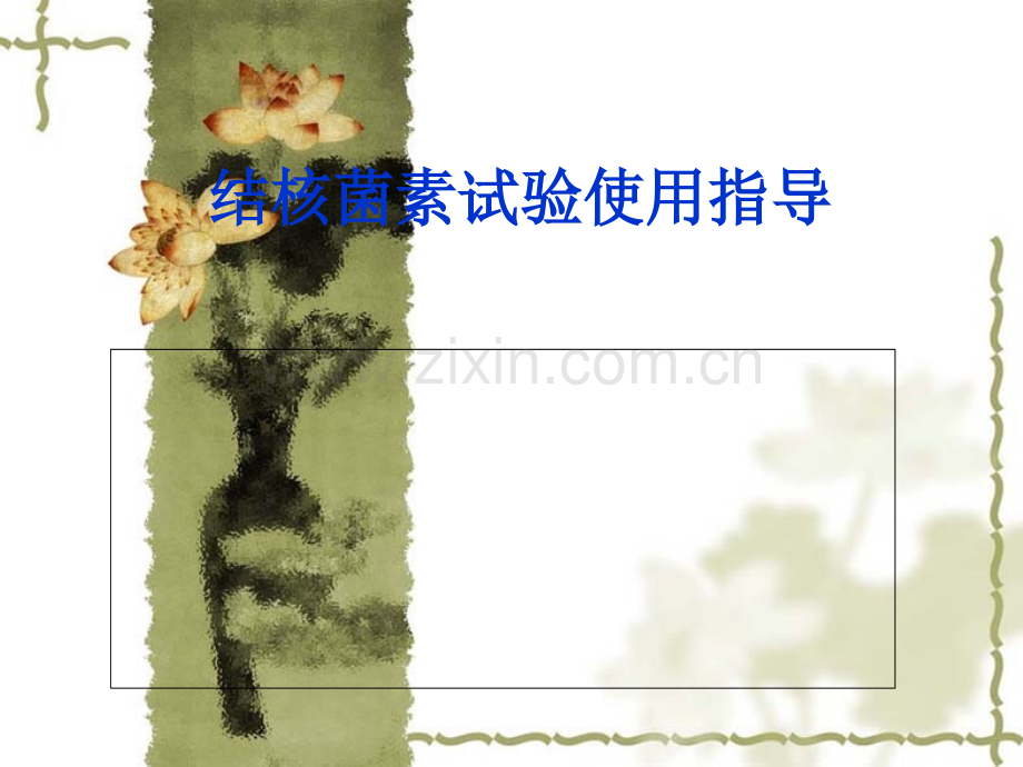 结核菌素试验使用指导.ppt_第1页