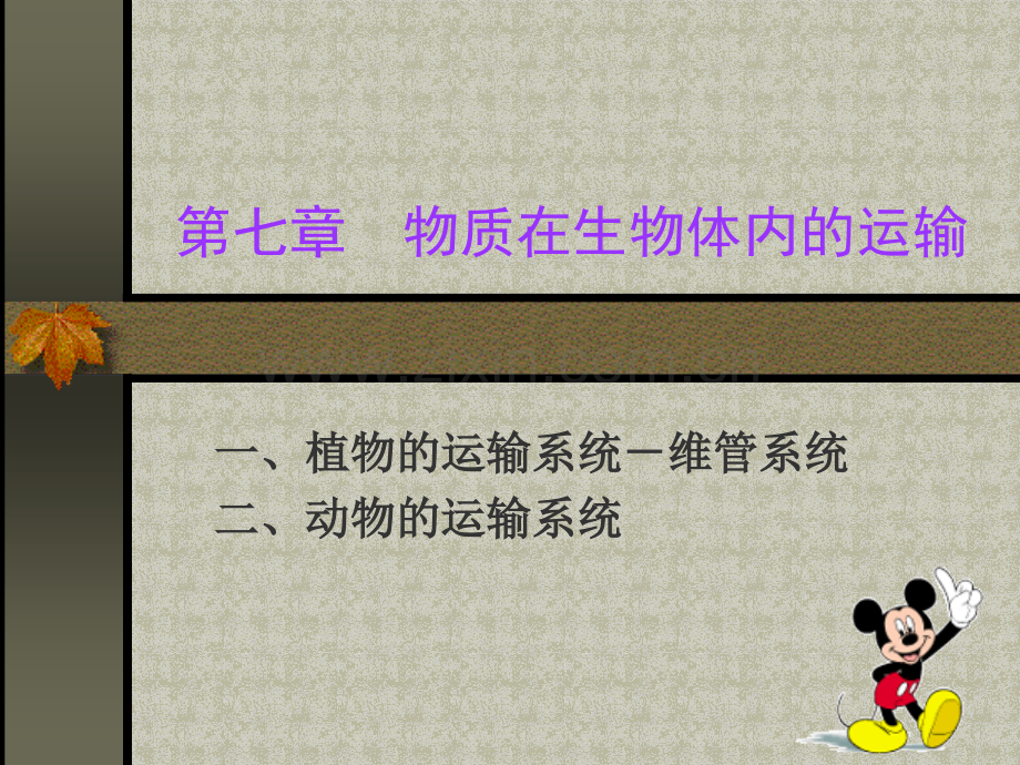 物质在生物体内的运输-(2).ppt_第1页