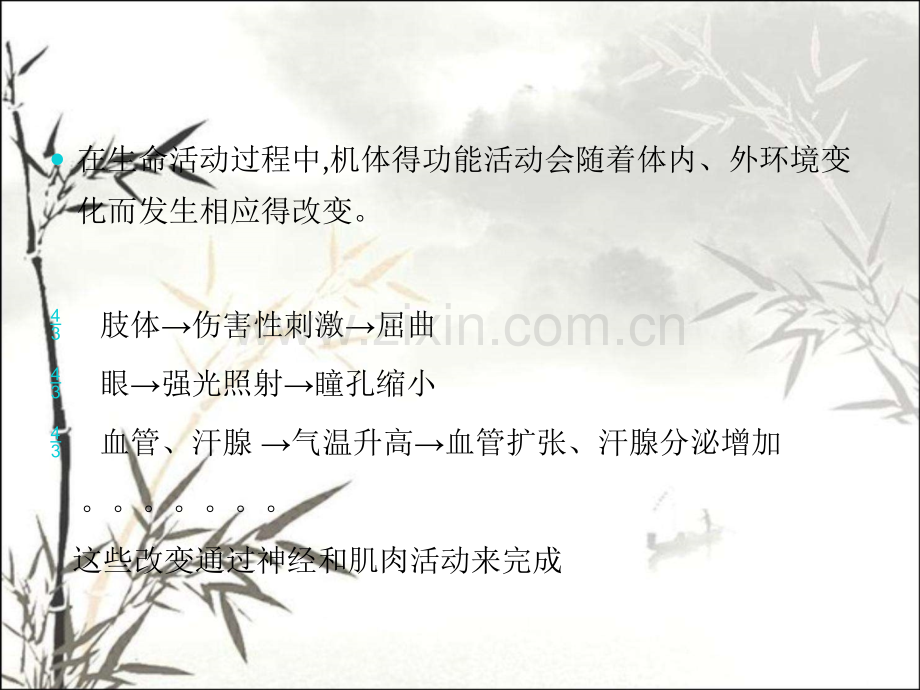 神经和肌肉生理.pptx_第2页