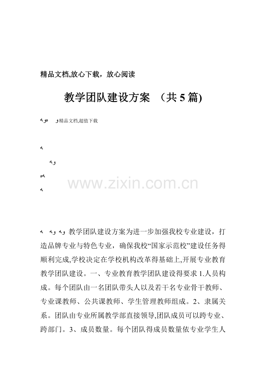 教学团队建设方案.doc_第1页