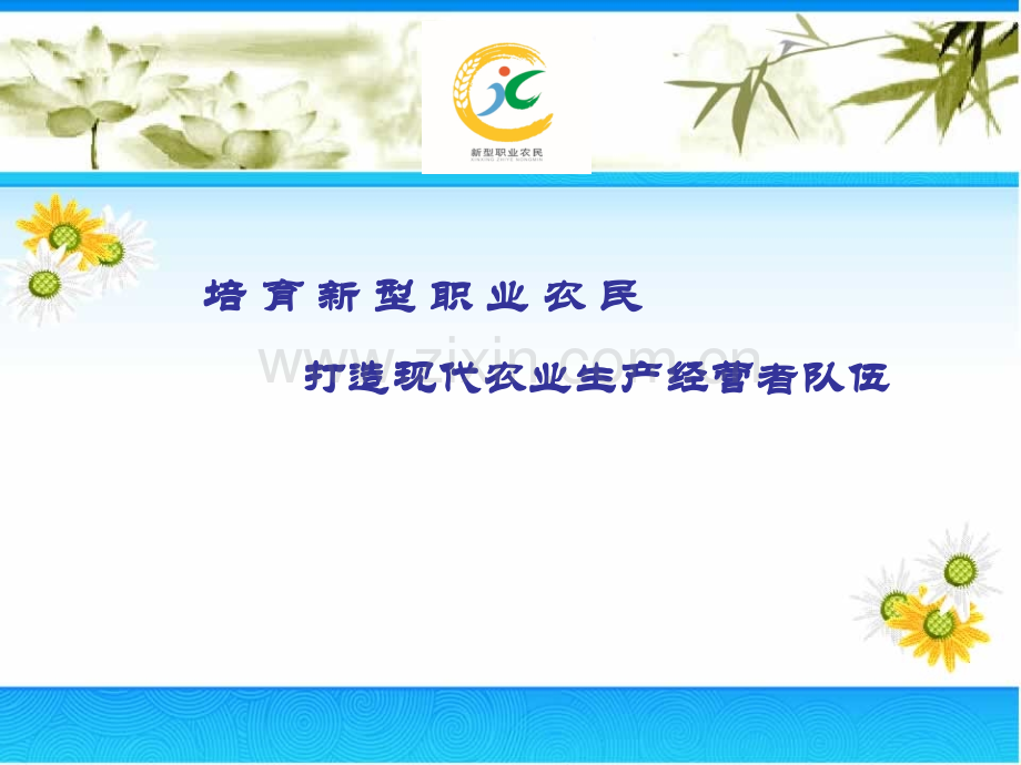 3、培育新型职业农民.ppt_第2页