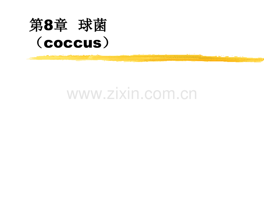 球菌-(1).ppt_第1页