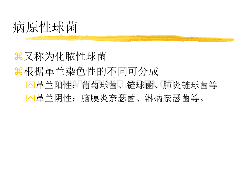 球菌-(1).ppt_第2页