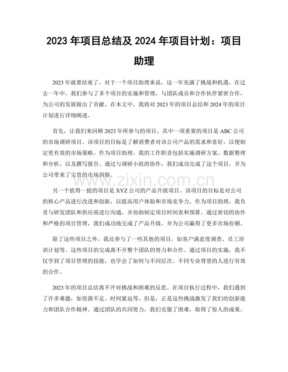 2023年项目总结及2024年项目计划：项目助理.docx_第1页