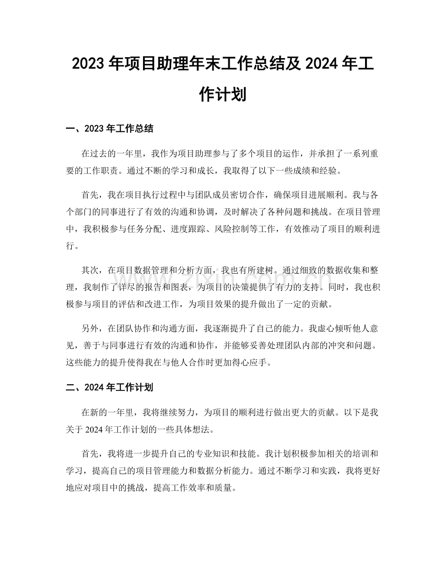 2023年项目助理年末工作总结及2024年工作计划.docx_第1页