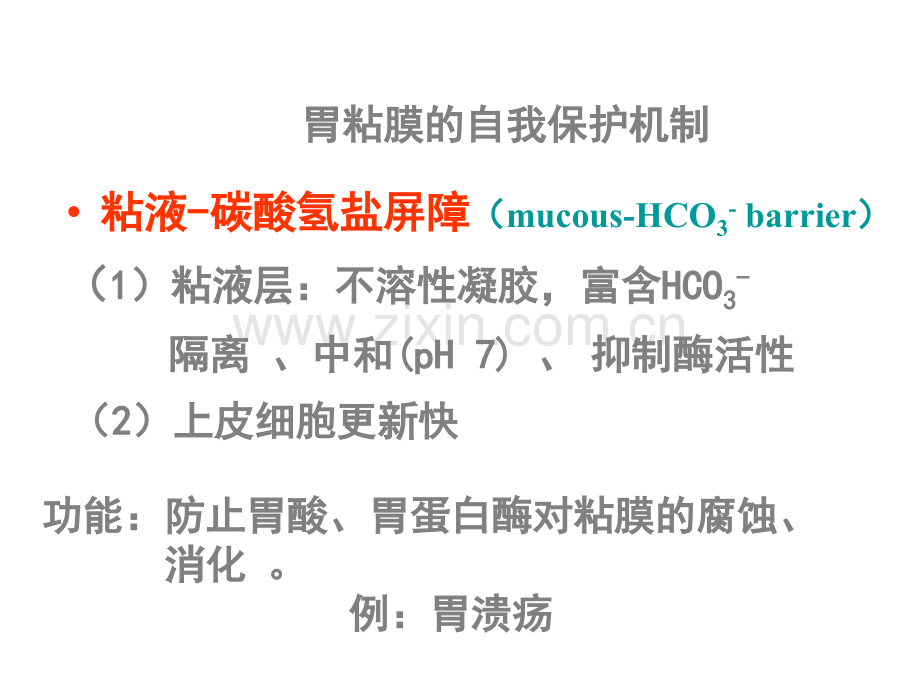 组织学-第14章--消化管(二).ppt_第2页