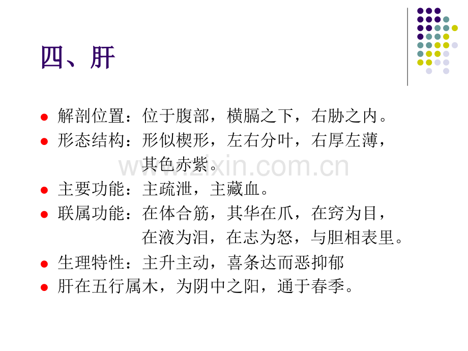 涵养肝气——肝中藏血.ppt_第2页