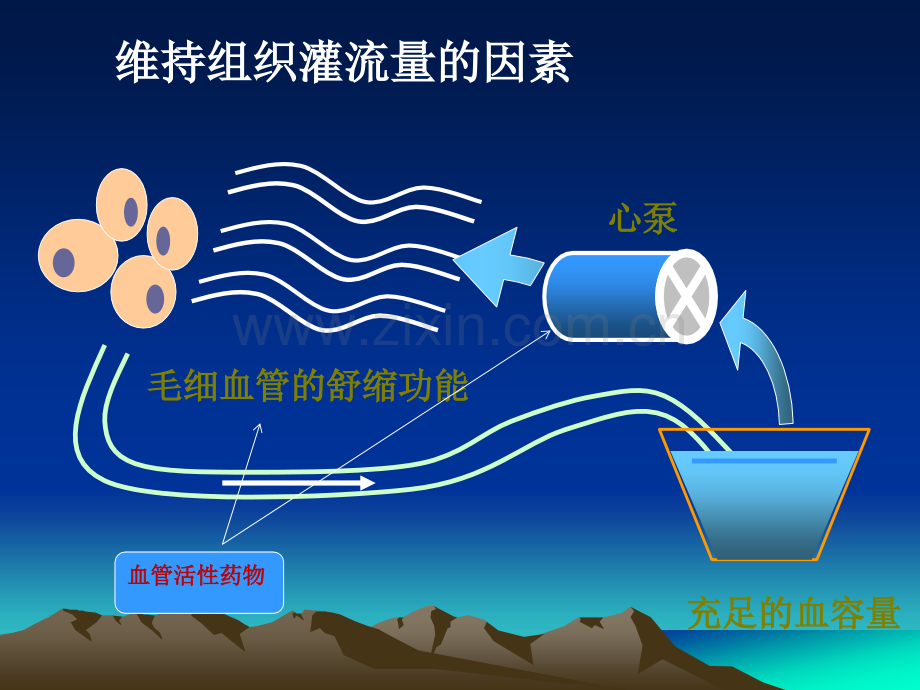 心血管活性药物的使用简述.ppt_第2页