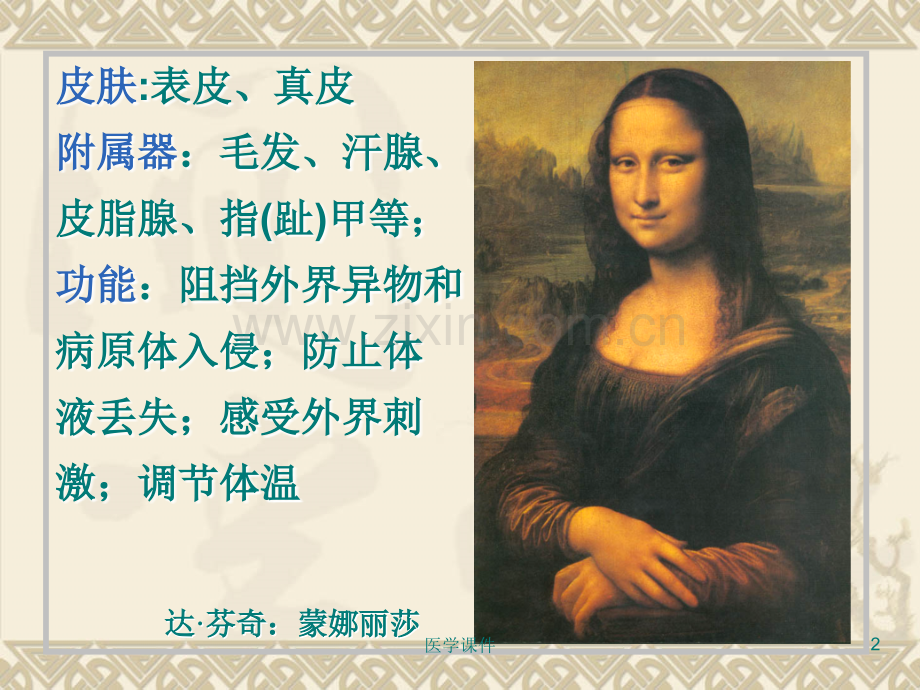 组织学与胚胎学-第11章-皮肤-.ppt_第2页