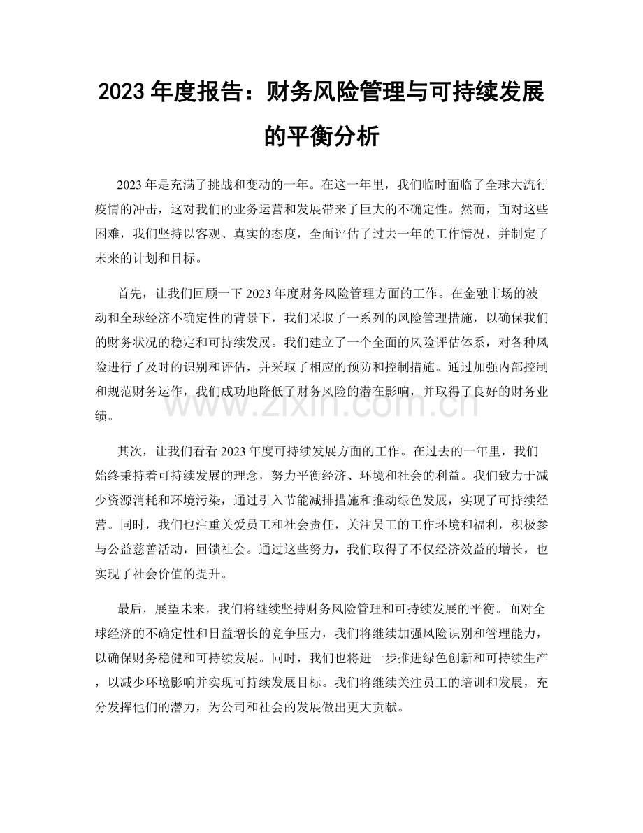 2023年度报告：财务风险管理与可持续发展的平衡分析.docx_第1页