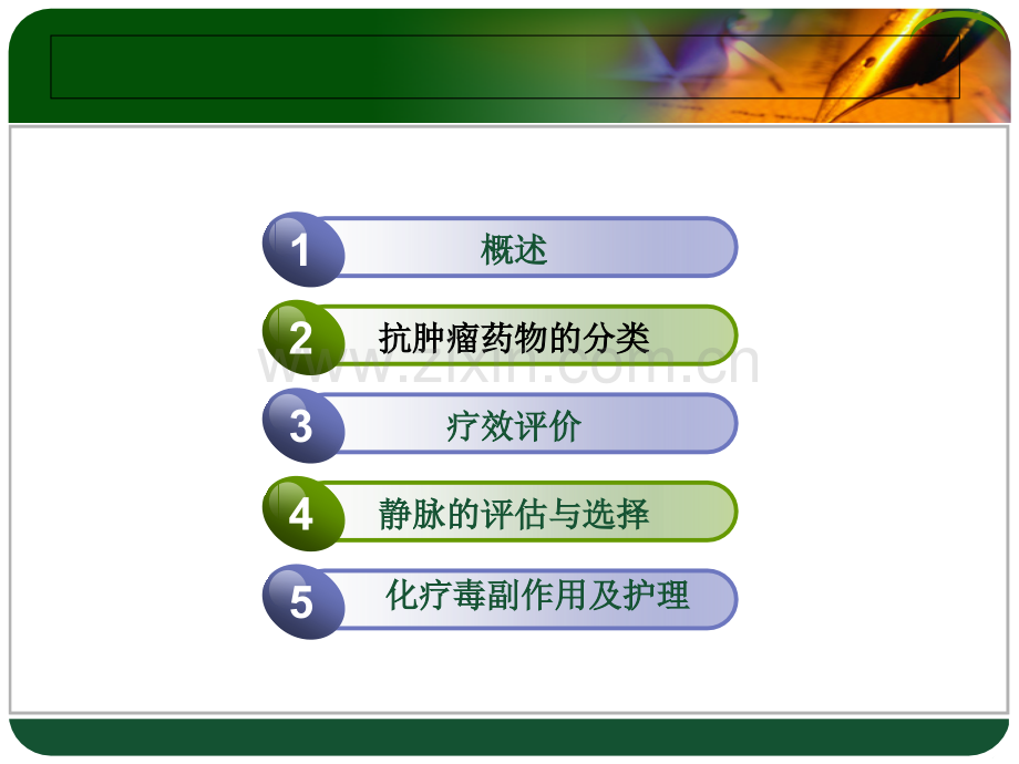 化疗前后的护理.ppt_第2页