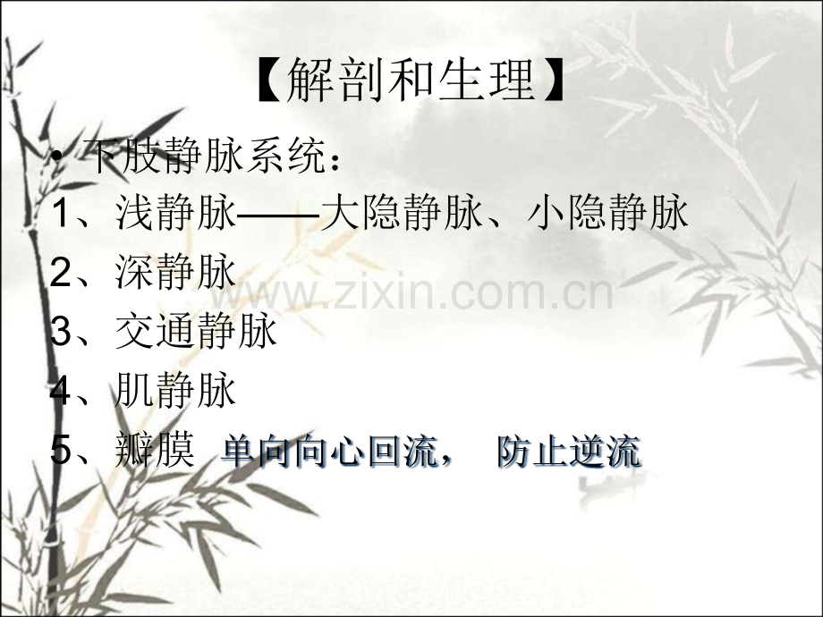 静脉系统常见疾病.pptx_第2页