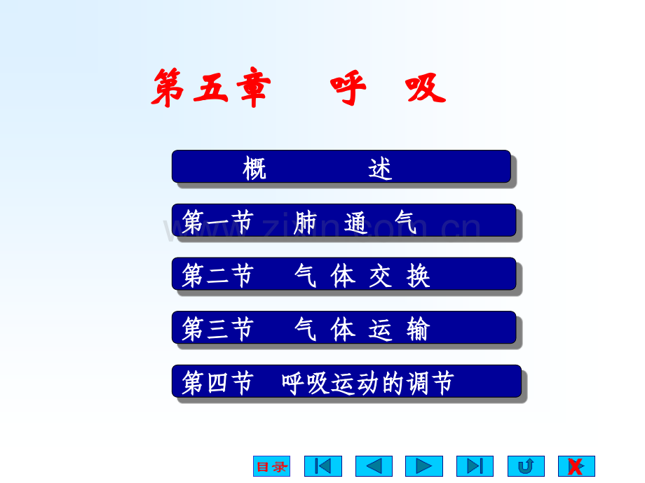 生理学-第五章：-呼吸.ppt_第1页