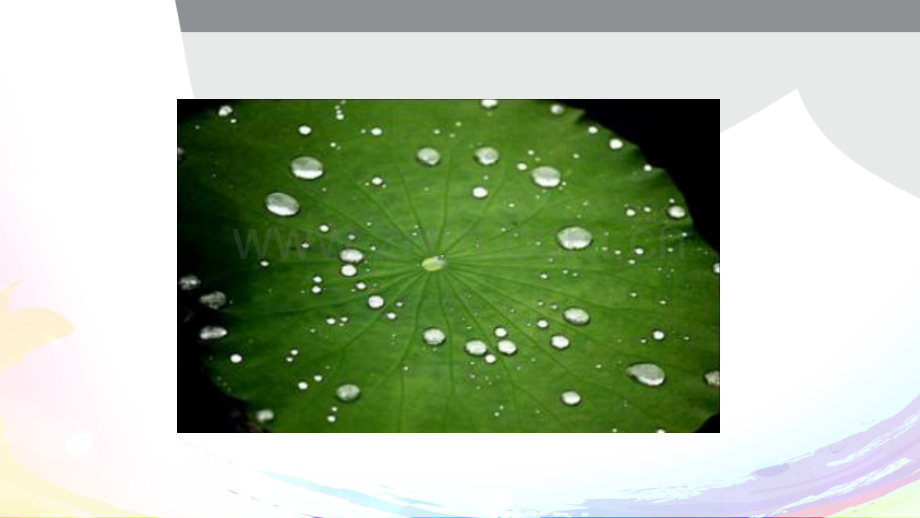 第9章--生物医学功能材料.pptx_第2页