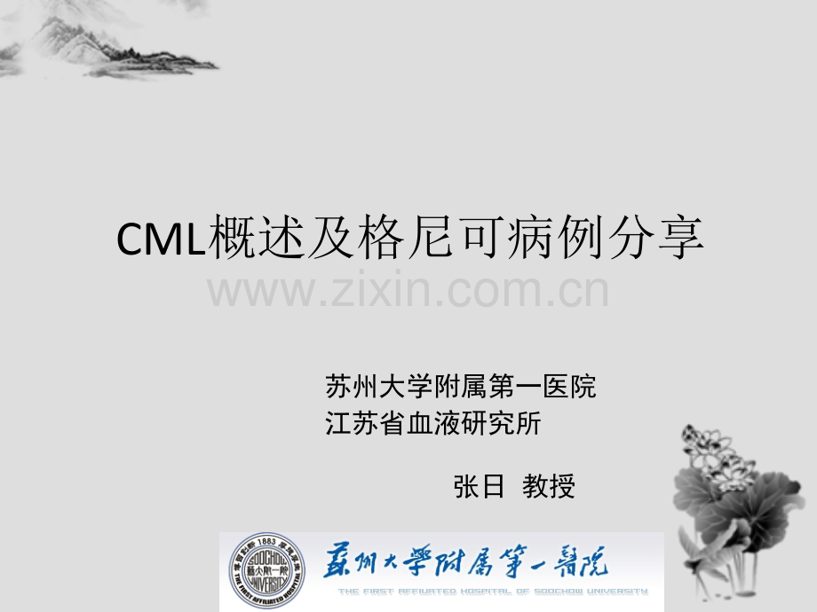 CML概述及格尼可经验分享.ppt_第1页