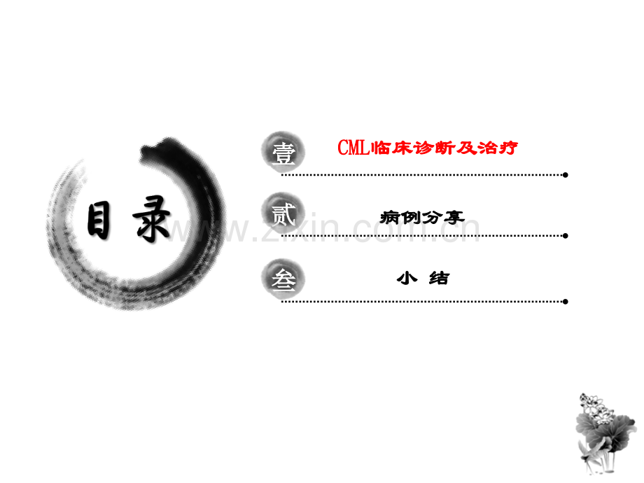 CML概述及格尼可经验分享.ppt_第2页