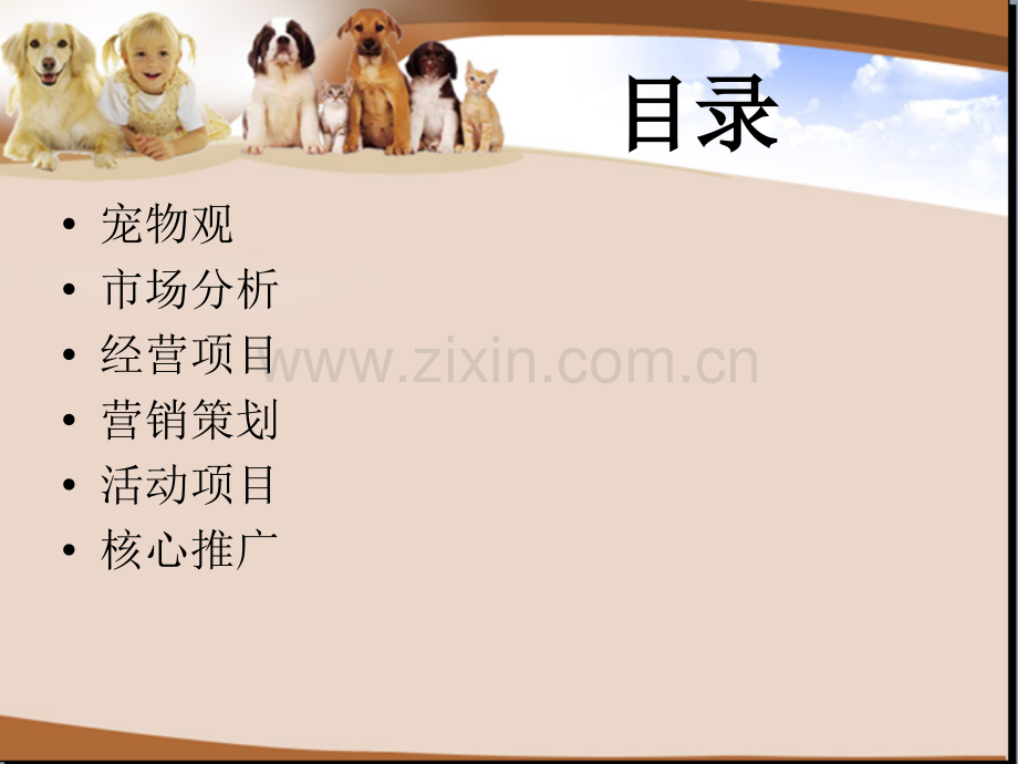 宠物网络营销.ppt_第2页