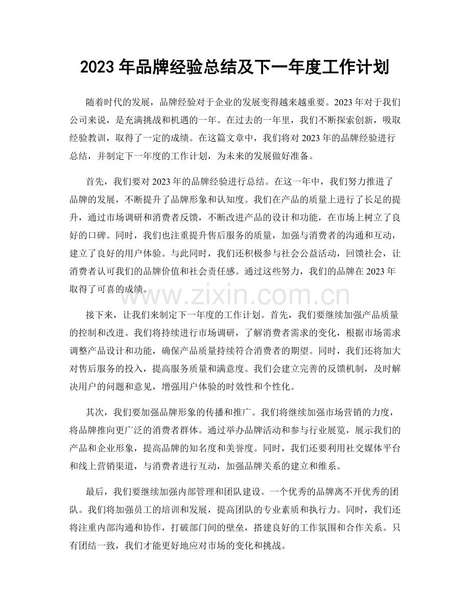 2023年品牌经验总结及下一年度工作计划.docx_第1页