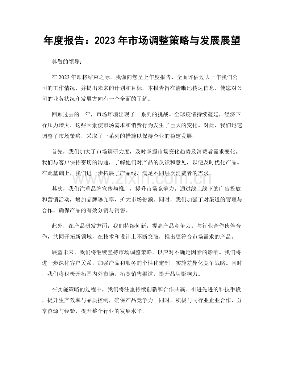 年度报告：2023年市场调整策略与发展展望.docx_第1页