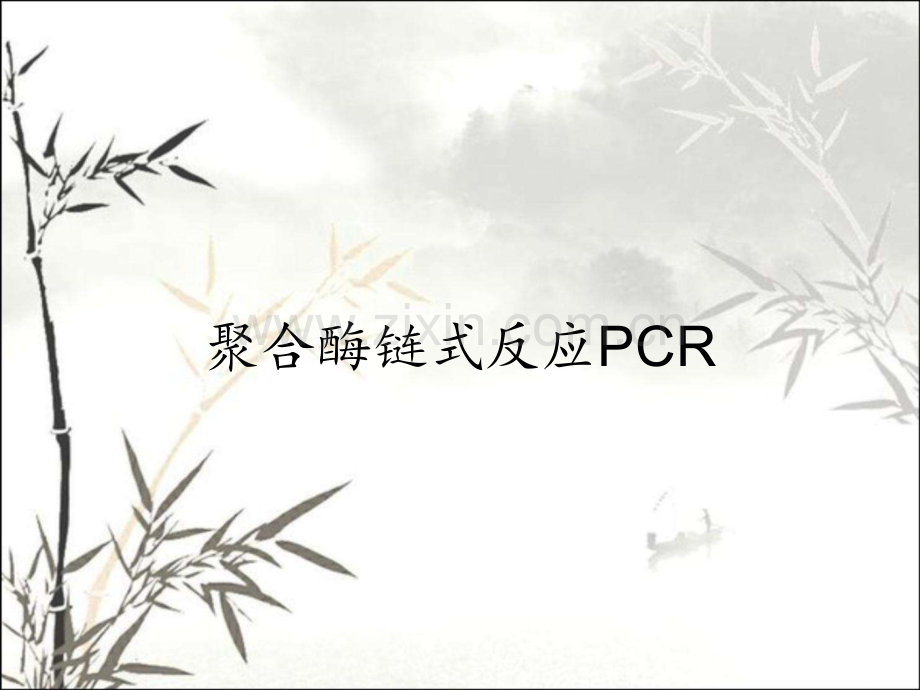 聚合酶链式反应PCR.pptx_第1页