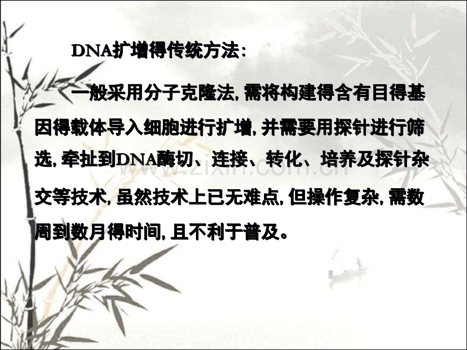聚合酶链式反应PCR.pptx_第2页