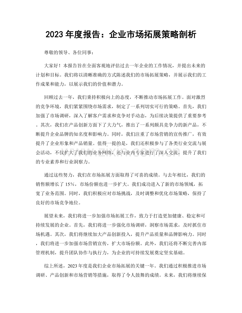 2023年度报告：企业市场拓展策略剖析.docx_第1页