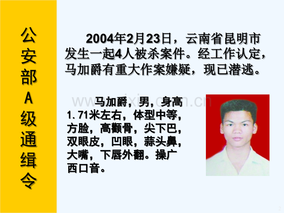 马加爵-PPT.ppt_第2页