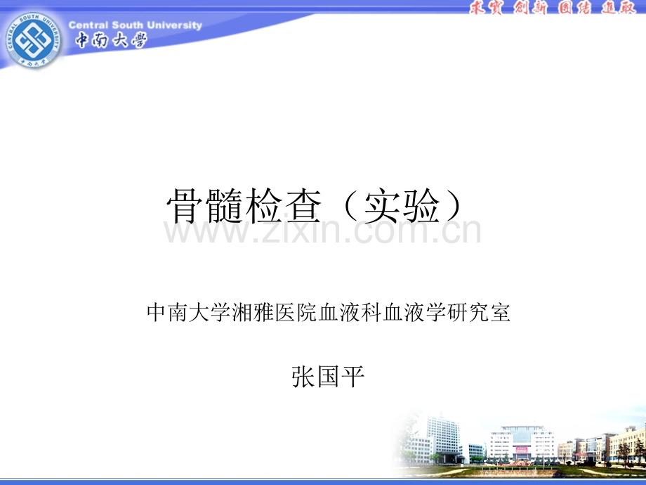 8年制骨髓检查(实验).ppt_第1页