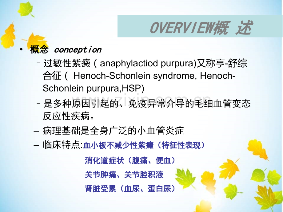 过敏性紫癜个人整理.ppt_第2页